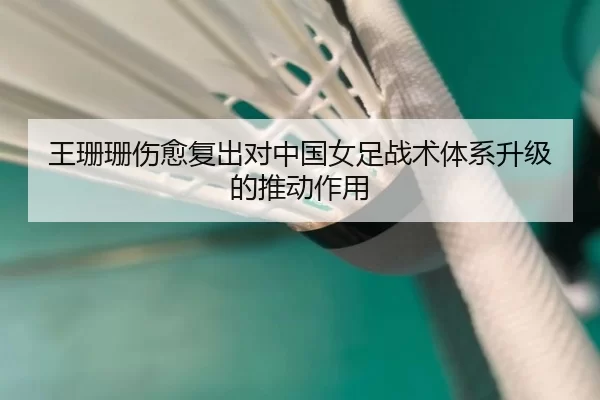 王珊珊伤愈复出对中国女足战术体系升级的推动作用