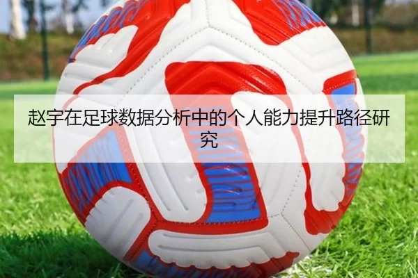 赵宇在足球数据分析中的个人能力提升路径研究
